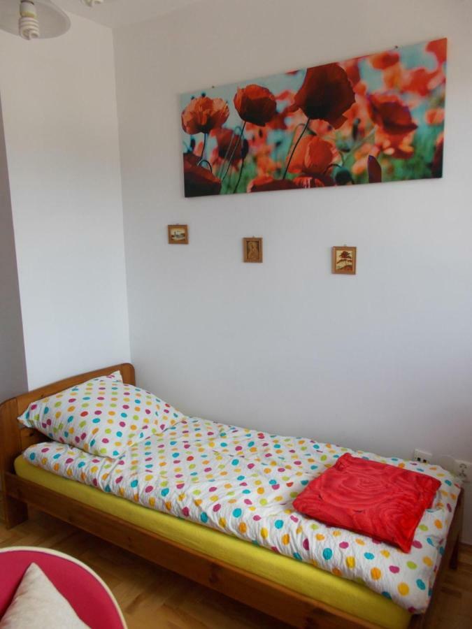 Apartamenty Nad Wisla สกาวินา ภายนอก รูปภาพ